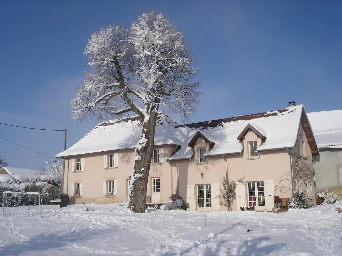 Le Tilleul Montagnieu  Montagnieu (Ain)